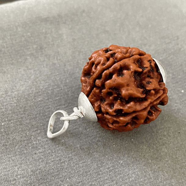 5 mukhi Rudraksh bead pendent in silver